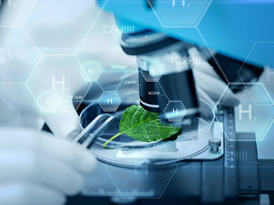 化工生物技术